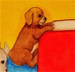 20160509_085542 - Copy